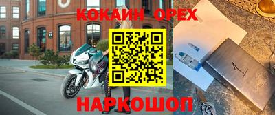 крисы Новозыбков