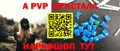 крисы Новозыбков