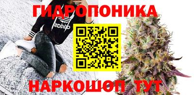 крисы Новозыбков