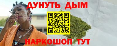 крисы Новозыбков