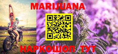 крисы Новозыбков
