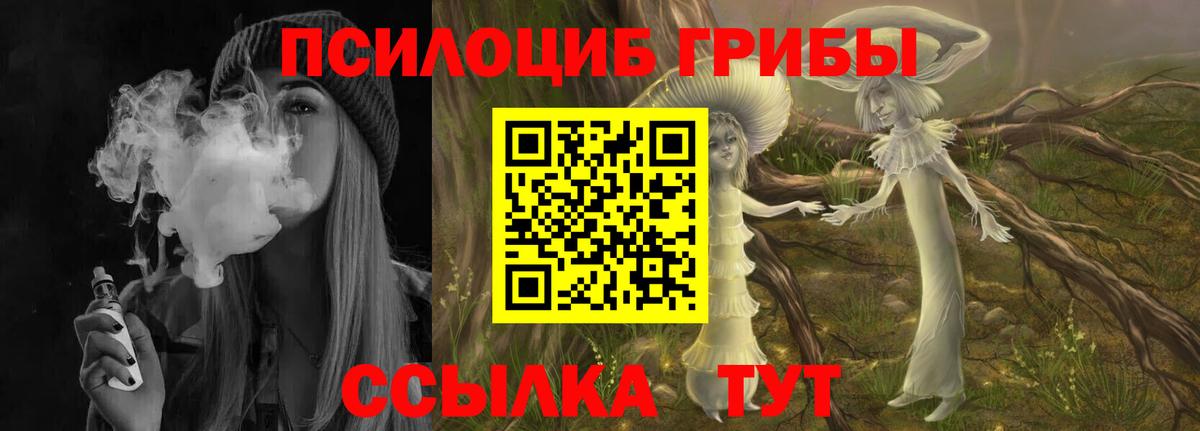 Псилоцибиновые грибы MAGIC MUSHROOMS Тосно